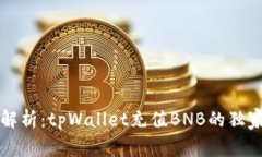 专家解析：tpWallet充值BNB的独家秘诀