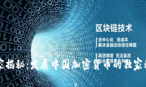 专家揭秘：发展中国加密货币的独家秘诀