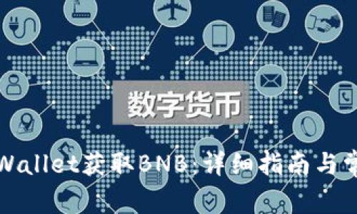 如何通过tpWallet获取BNB：详细指南与常见问题解析