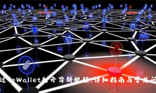 如何通过tpWallet打开薄饼视频：详细指南与常见问题解答