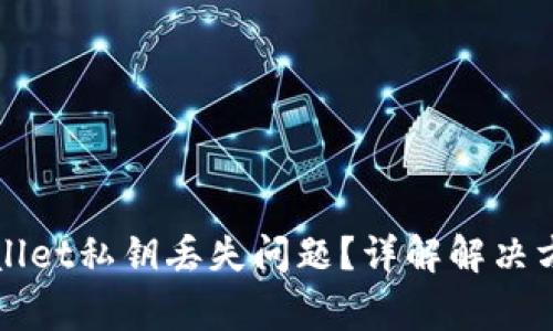 如何处理tpWallet私钥丢失问题？详解解决方案与注意事项