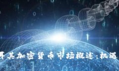 2023年土耳其加密货币市场概述：机遇与挑战并存