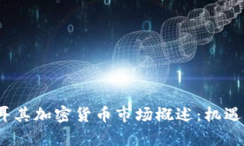 2023年土耳其加密货币市场概述：机遇与挑战并存