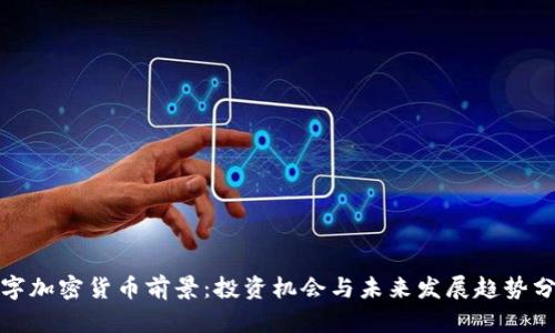 数字加密货币前景：投资机会与未来发展趋势分析