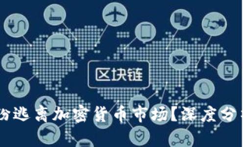 为何散户纷纷逃离加密货币市场？深度分析与未来展望