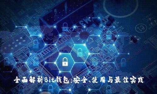 全面解析Bit钱包：安全、使用与最佳实践