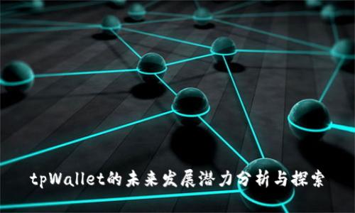 tpWallet的未来发展潜力分析与探索