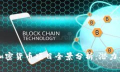 2023年俄罗斯加密货币项目全景分析：潜力、挑战