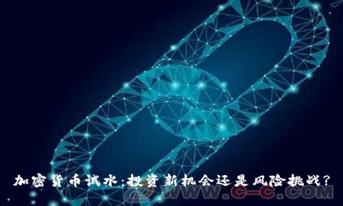 加密货币试水：投资新机会还是风险挑战?