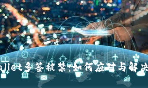 tpWallet多签被禁：如何应对与解决方案