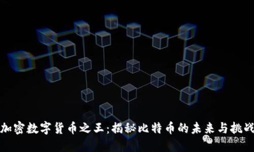 加密数字货币之王：揭秘比特币的未来与挑战
