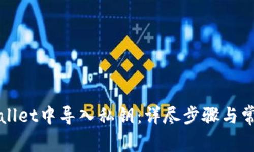 如何在tpWallet中导入私钥：详尽步骤与常见问题解答