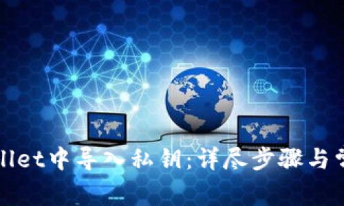 如何在tpWallet中导入私钥：详尽步骤与常见问题解答