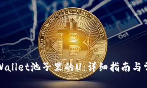 如何找回tpWallet池子里的U：详细指南与常见问题解答
