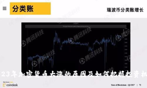 2023年加密货币大涨的原因及如何把握投资机会