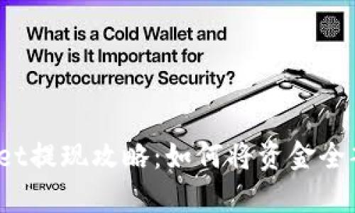 tpWallet提现攻略：如何将资金全部提取？