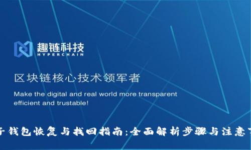TP子钱包恢复与找回指南：全面解析步骤与注意事项