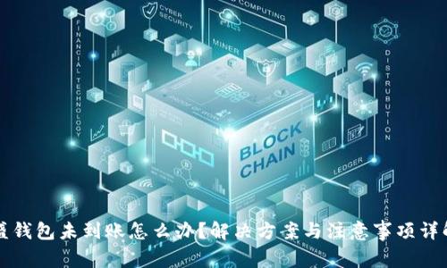 盛钱包未到账怎么办？解决方案与注意事项详解