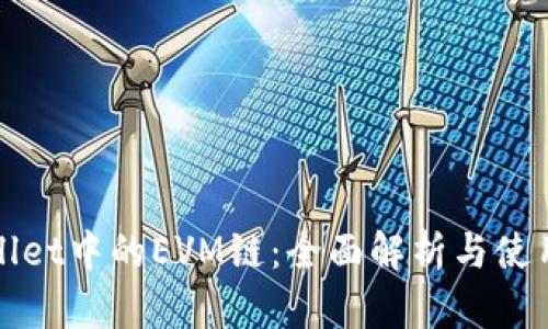 tpWallet中的EVM链：全面解析与使用指南