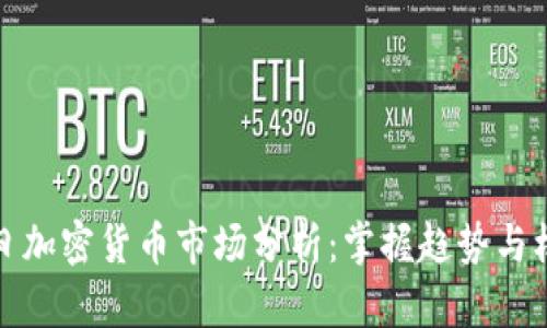 每日加密货币市场分析：掌握趋势与机会
