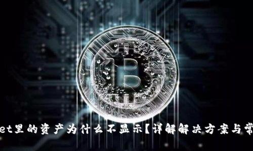 tpWallet里的资产为什么不显示？详解解决方案与常见问题