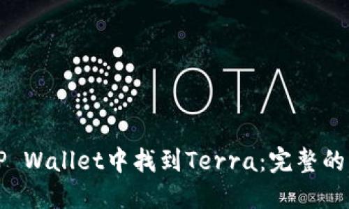如何在TP Wallet中找到Terra：完整的操作指南