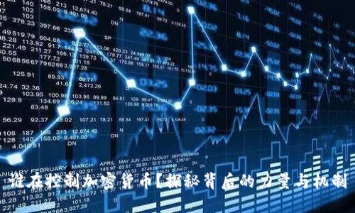 谁在控制加密货币？探秘背后的力量与机制