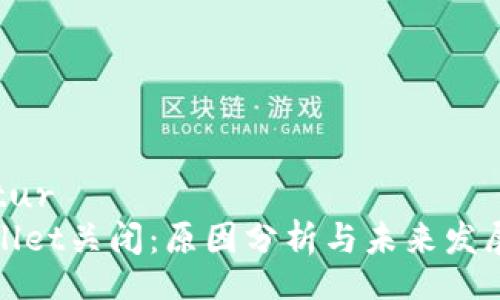 tur/tur
tpWallet关闭：原因分析与未来发展趋势