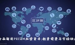全面解析PRIZM加密货币：投资前景与市场动态