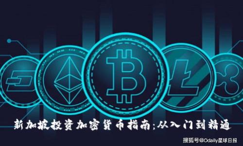 新加坡投资加密货币指南：从入门到精通