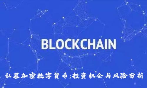 私募加密数字货币：投资机会与风险分析