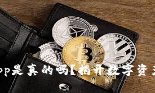 tpWallet里的DApp是真的吗？揭开数字资产管理的神秘面纱