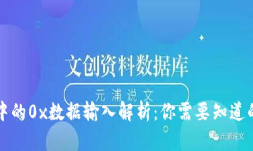 tpWallet中的0x数据输入解析：你需要知道的所有信息