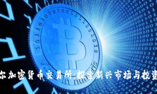尼泊尔加密货币交易所：探索新兴市场与投资机会