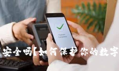 tpWallet截图安全吗？如何保护你的数字资产不被盗取