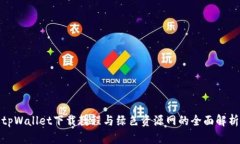 tpWallet下载教程与绿色资源网的全面解析