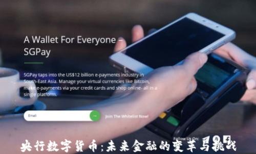 
央行数字货币：未来金融的变革与挑战