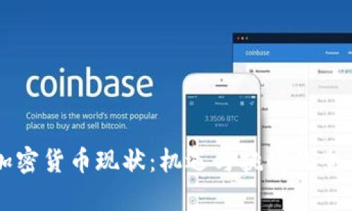 国内加密货币现状：机遇与挑战的全面分析