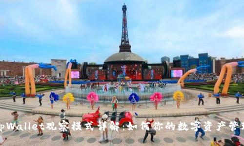 tpWallet观察模式详解：如何你的数字资产管理