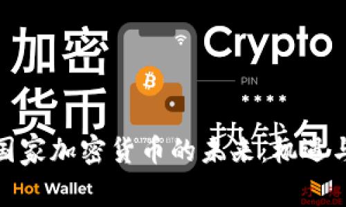 金砖国家加密货币的未来：机遇与挑战