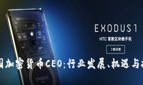 中国加密货币CEO：行业发展、机遇与挑战
