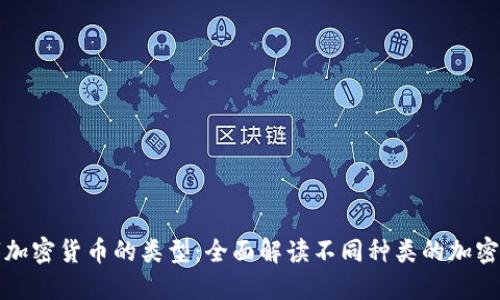 数字加密货币的类型：全面解读不同种类的加密资产
