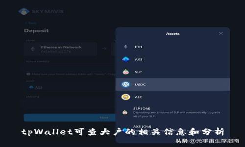 tpWallet可查大户的相关信息和分析