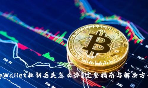 tpWallet私钥丢失怎么办？完整指南与解决方案
