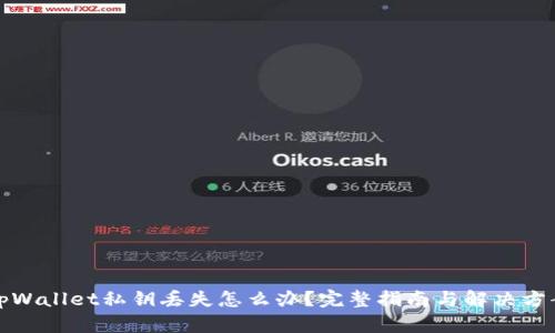 tpWallet私钥丢失怎么办？完整指南与解决方案