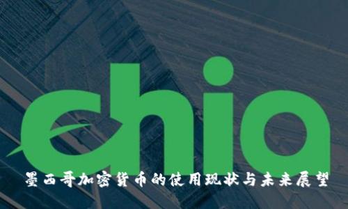 墨西哥加密货币的使用现状与未来展望