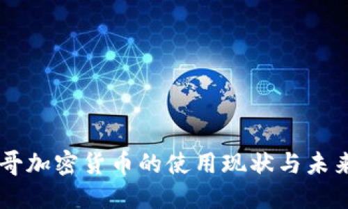 墨西哥加密货币的使用现状与未来展望