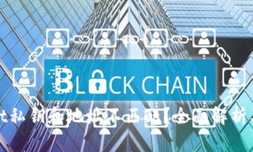 : tpWallet私钥和地址不匹配？全面解析及解决方案